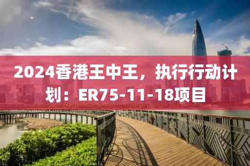 2024香港王中王，執(zhí)行行動(dòng)計(jì)劃：ER75-11-18項(xiàng)目