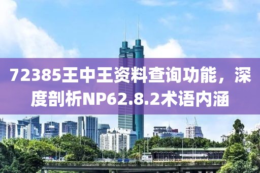 72385王中王資料查詢(xún)功能，深度剖析NP62.8.2術(shù)語(yǔ)內(nèi)涵