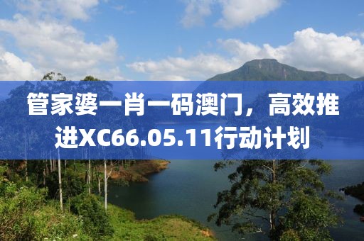 管家婆一肖一碼澳門，高效推進XC66.05.11行動計劃