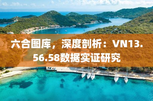 六合圖庫(kù)，深度剖析：VN13.56.58數(shù)據(jù)實(shí)證研究