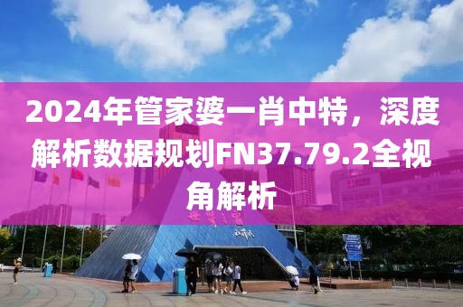 2024年管家婆一肖中特，深度解析數據規(guī)劃FN37.79.2全視角解析