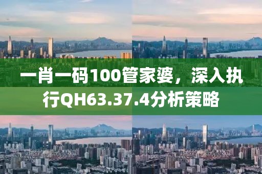 一肖一碼100管家婆，深入執(zhí)行QH63.37.4分析策略