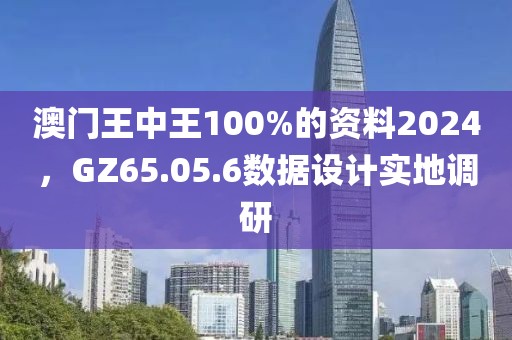 澳門王中王100%的資料2024，GZ65.05.6數(shù)據(jù)設(shè)計實地調(diào)研