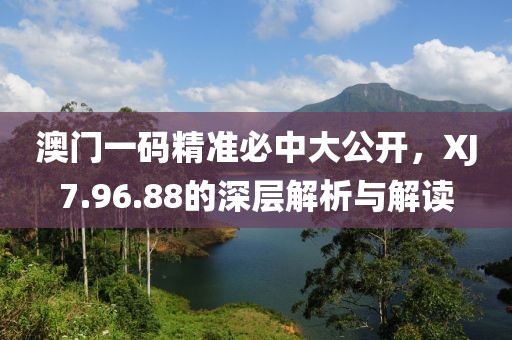澳門一碼精準(zhǔn)必中大公開(kāi)，XJ7.96.88的深層解析與解讀