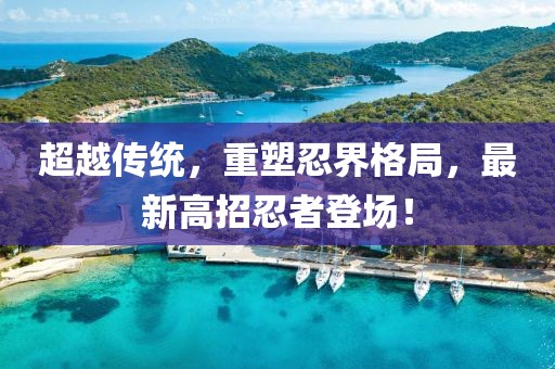 超越傳統(tǒng)，重塑忍界格局，最新高招忍者登場(chǎng)！