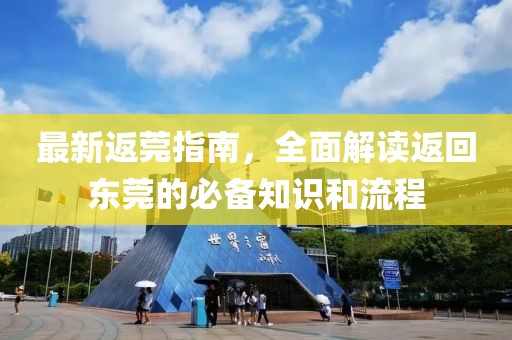 最新返莞指南，全面解讀返回東莞的必備知識和流程