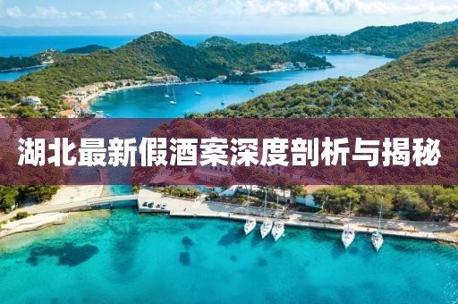 湖北最新假酒案深度剖析與揭秘