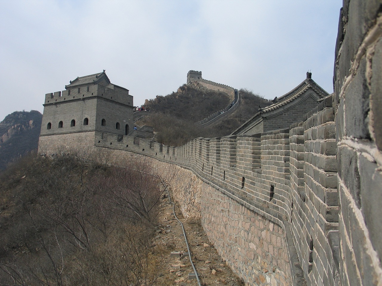 李哥最新動態(tài)，時代潮流的引領者