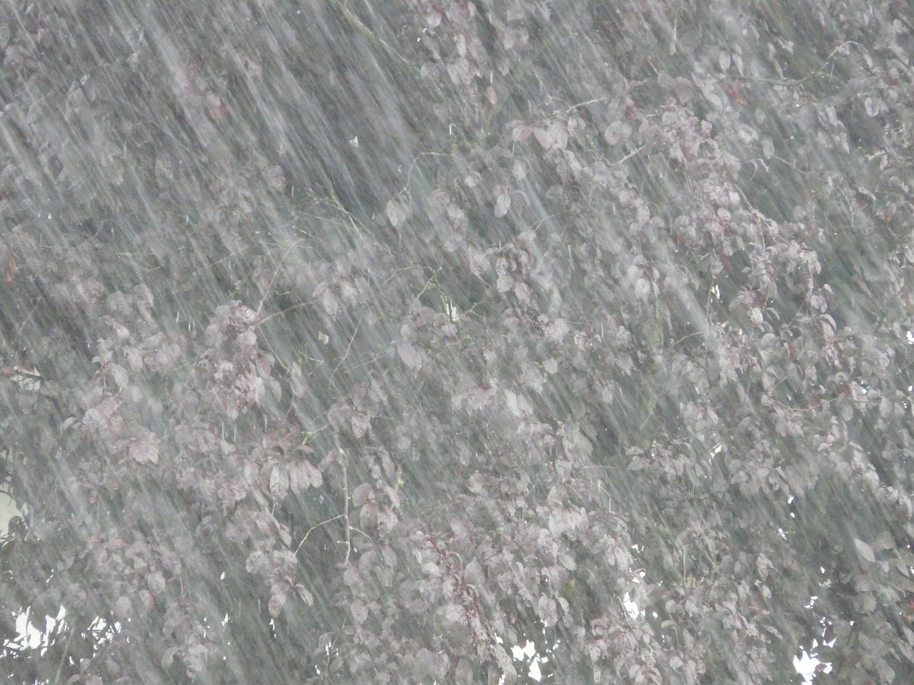 日照大暴雨最新情況報(bào)告與更新
