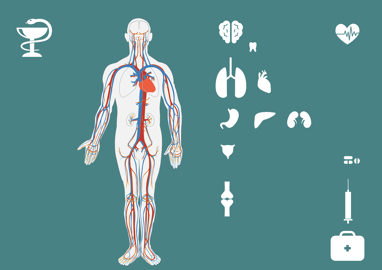 最新疫情癥狀報(bào)告詳解，癥狀全面解析及應(yīng)對(duì)策略