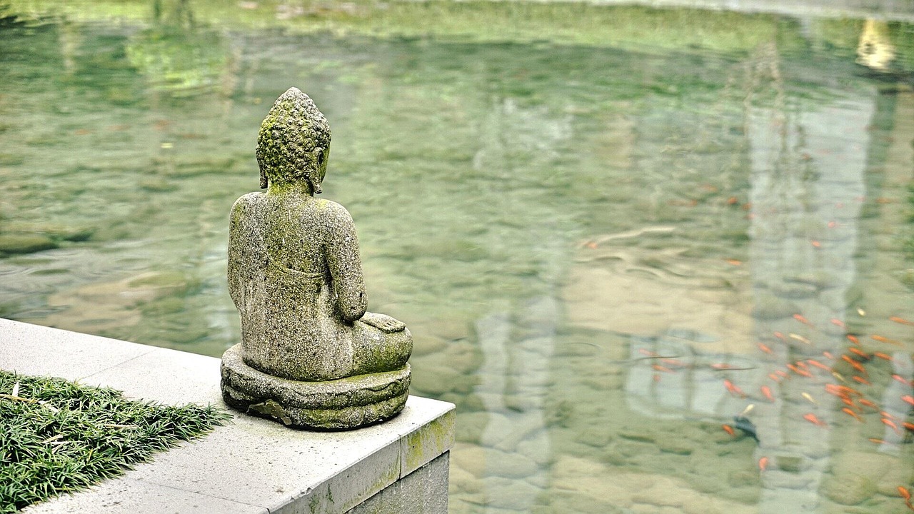 中國與世界的交匯點(diǎn)，最新發(fā)展動(dòng)態(tài)探析及中外對比研究