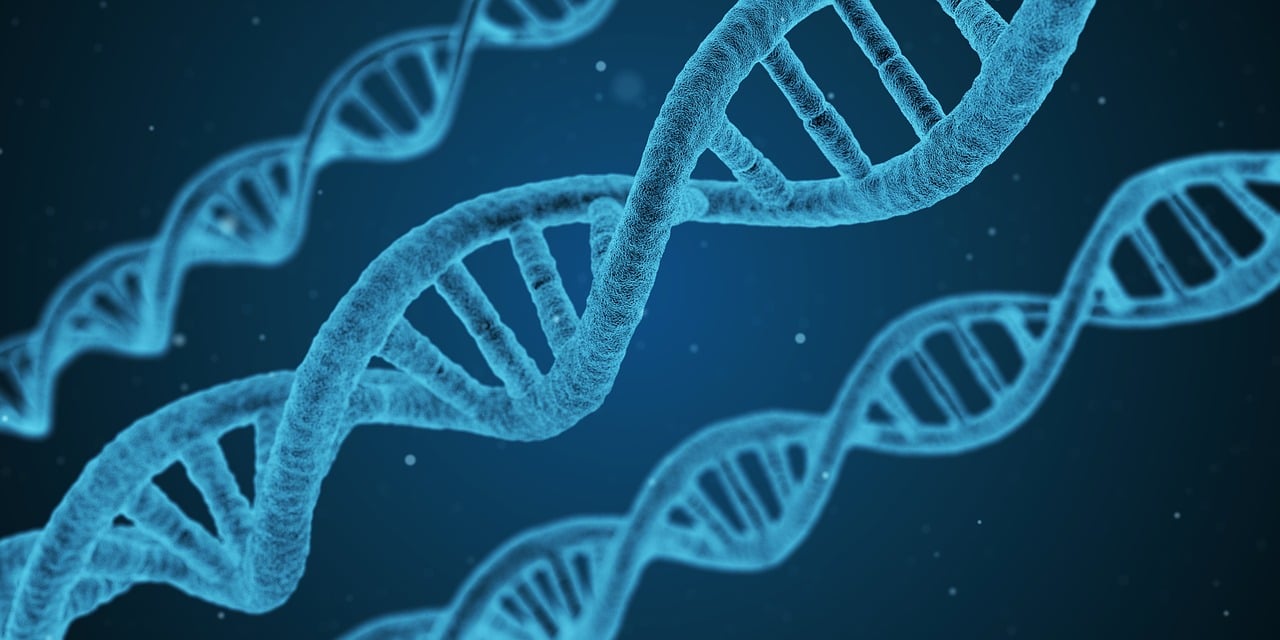 派派最新種子，探索未知世界的先鋒，引領(lǐng)你發(fā)現(xiàn)新知