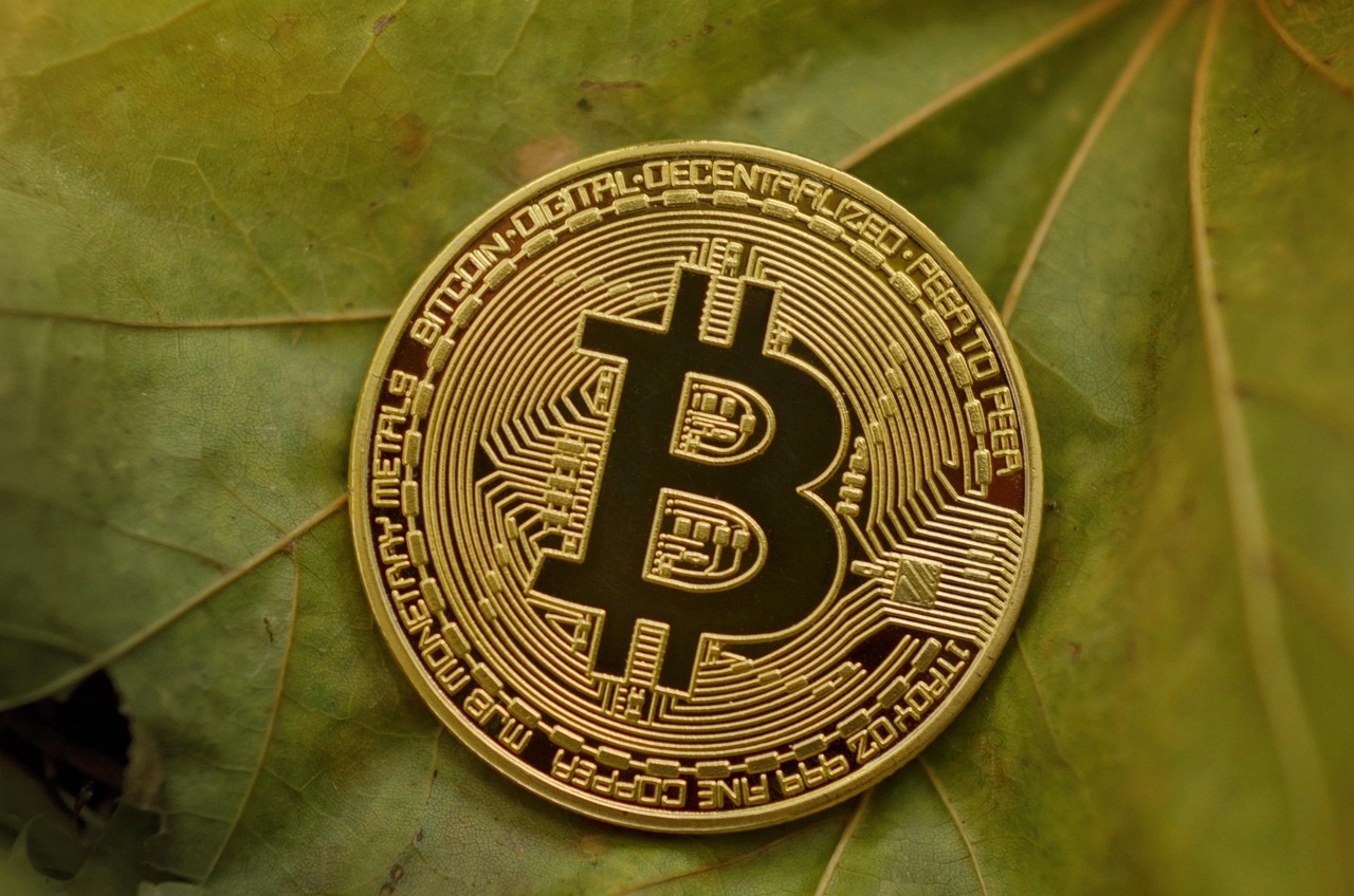 探索貨幣創(chuàng)新與技術(shù)融合的未來，銀行最新資金流向揭秘