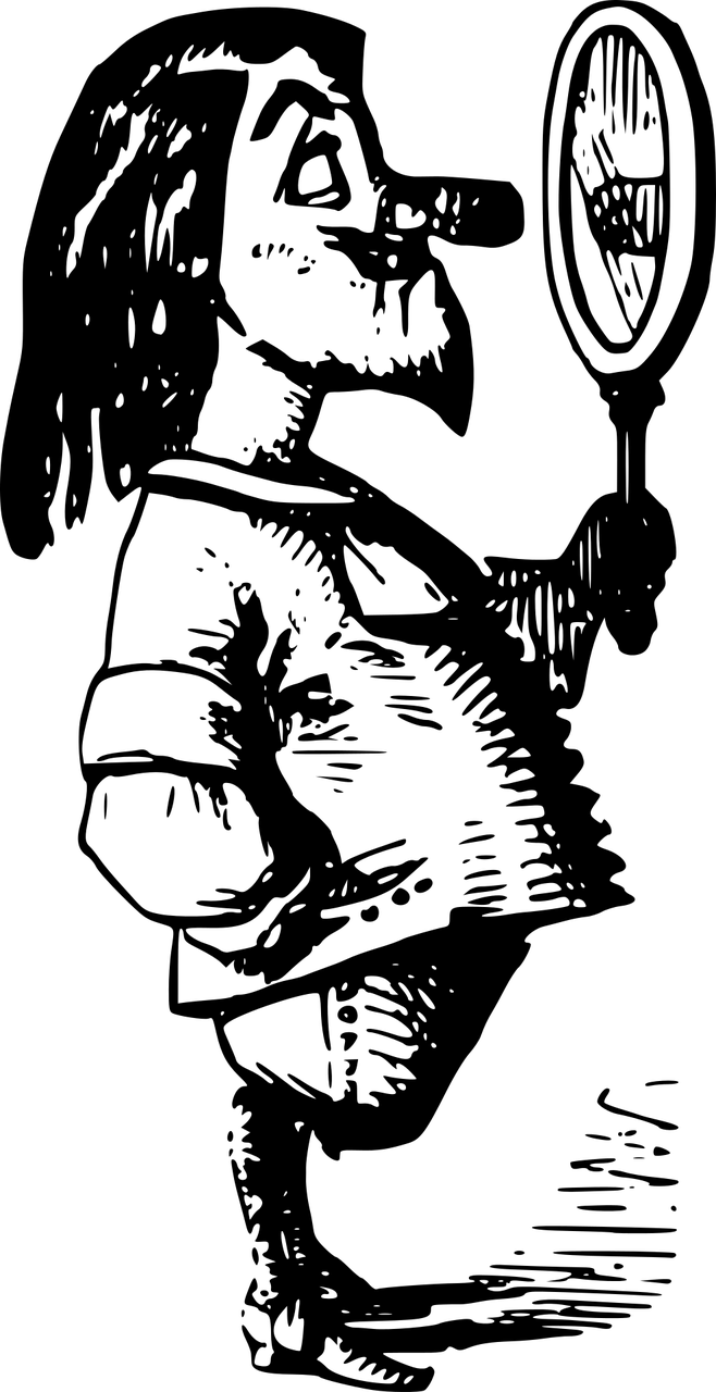 王婿葉飛最新動態(tài)，榮耀傳奇續(xù)寫之路