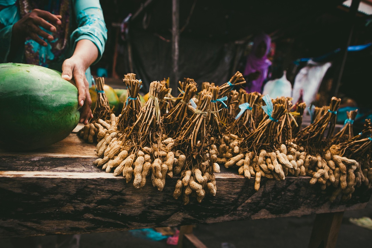 南陽市花生米最新市場價格及其動態(tài)分析