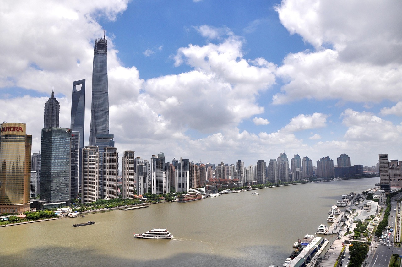 上海天洋股票行情深度解析與走勢預(yù)測