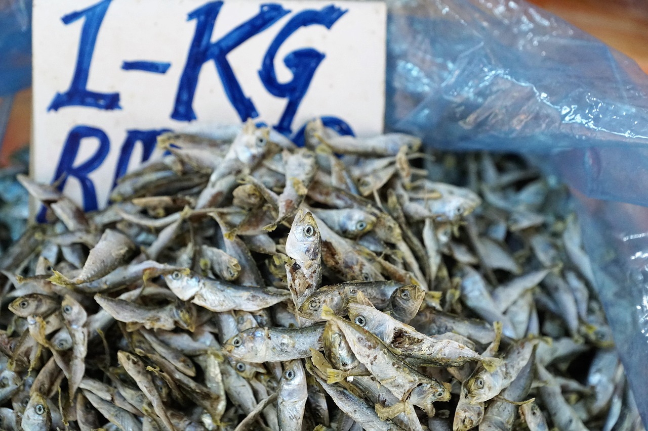 鱈魚價格分析揭秘，市場售價多少一斤？