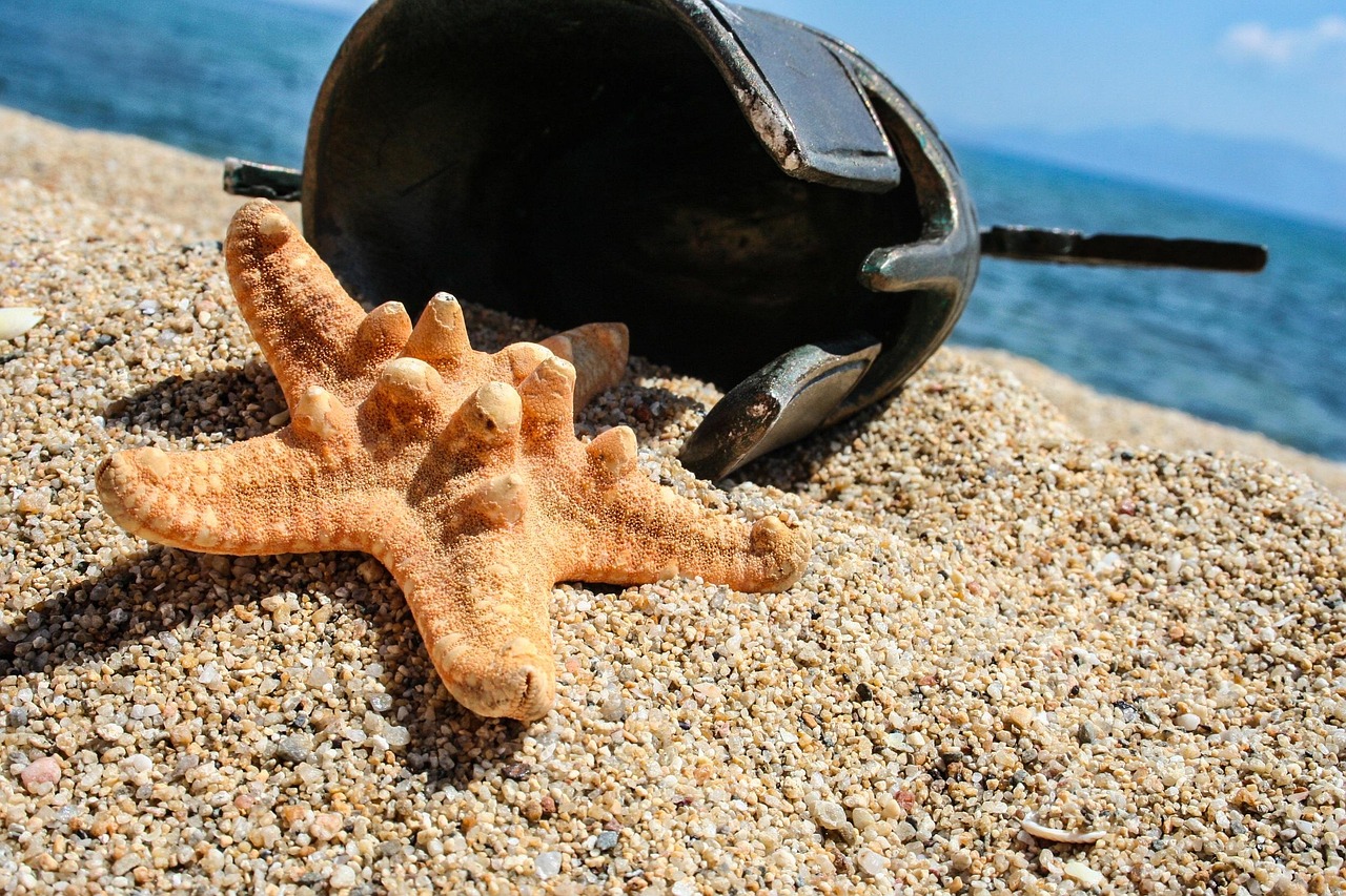星夢資訊今日更新，探索星辰大海，聚焦娛樂最新動態(tài)