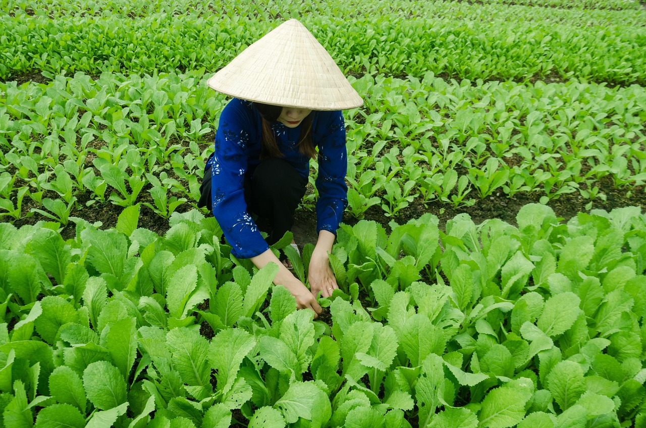 走進(jìn)四月，良鄉(xiāng)北五村最新動(dòng)態(tài)揭曉