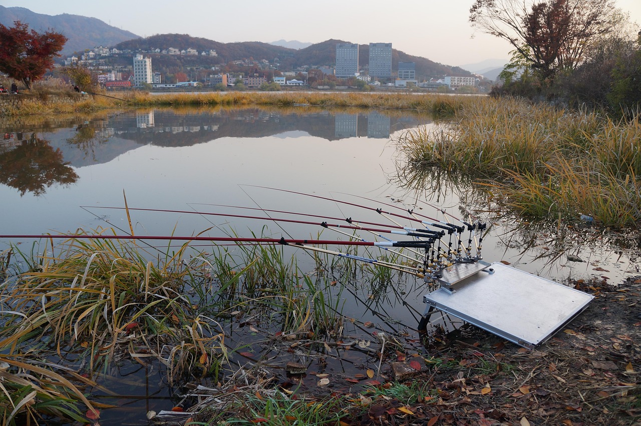 最新釣魚游戲下載攻略，4月釣魚游戲大解析及下載指南