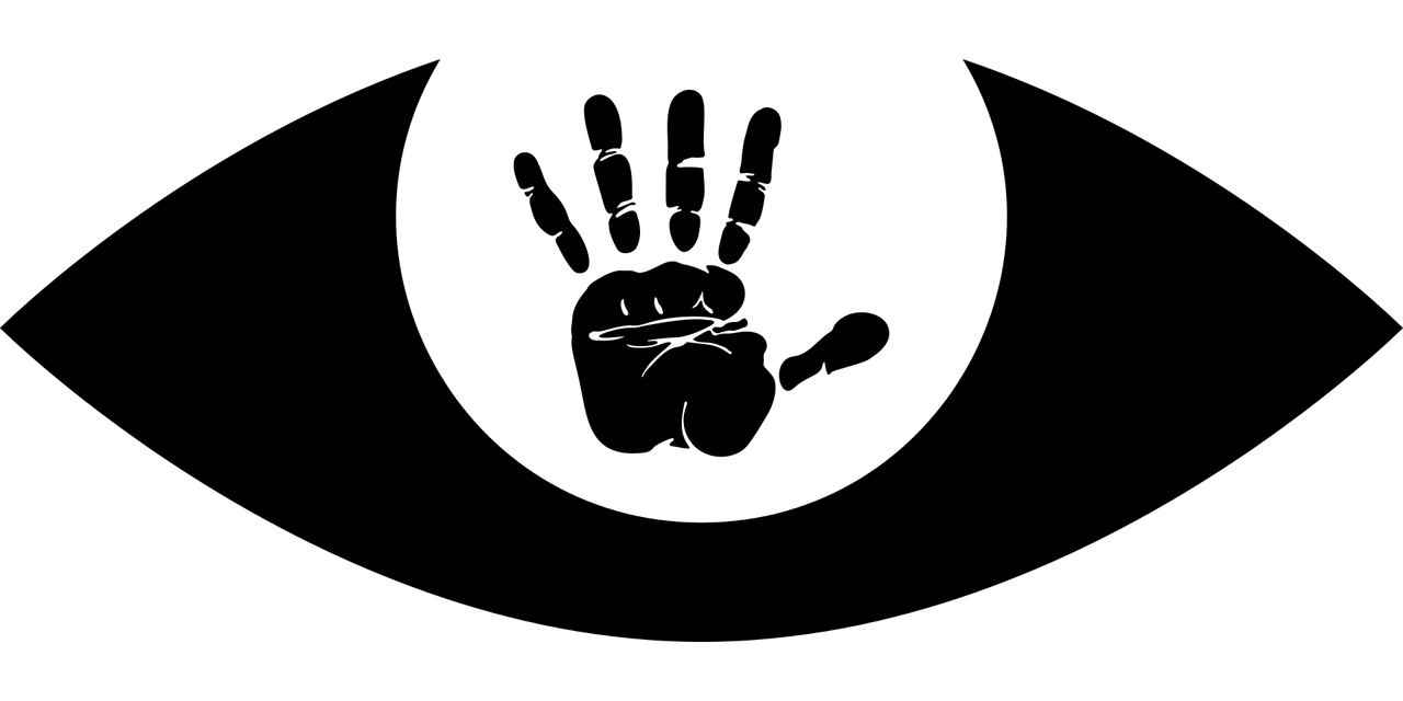 河北五月最新分割動(dòng)態(tài)深度解析與觀察