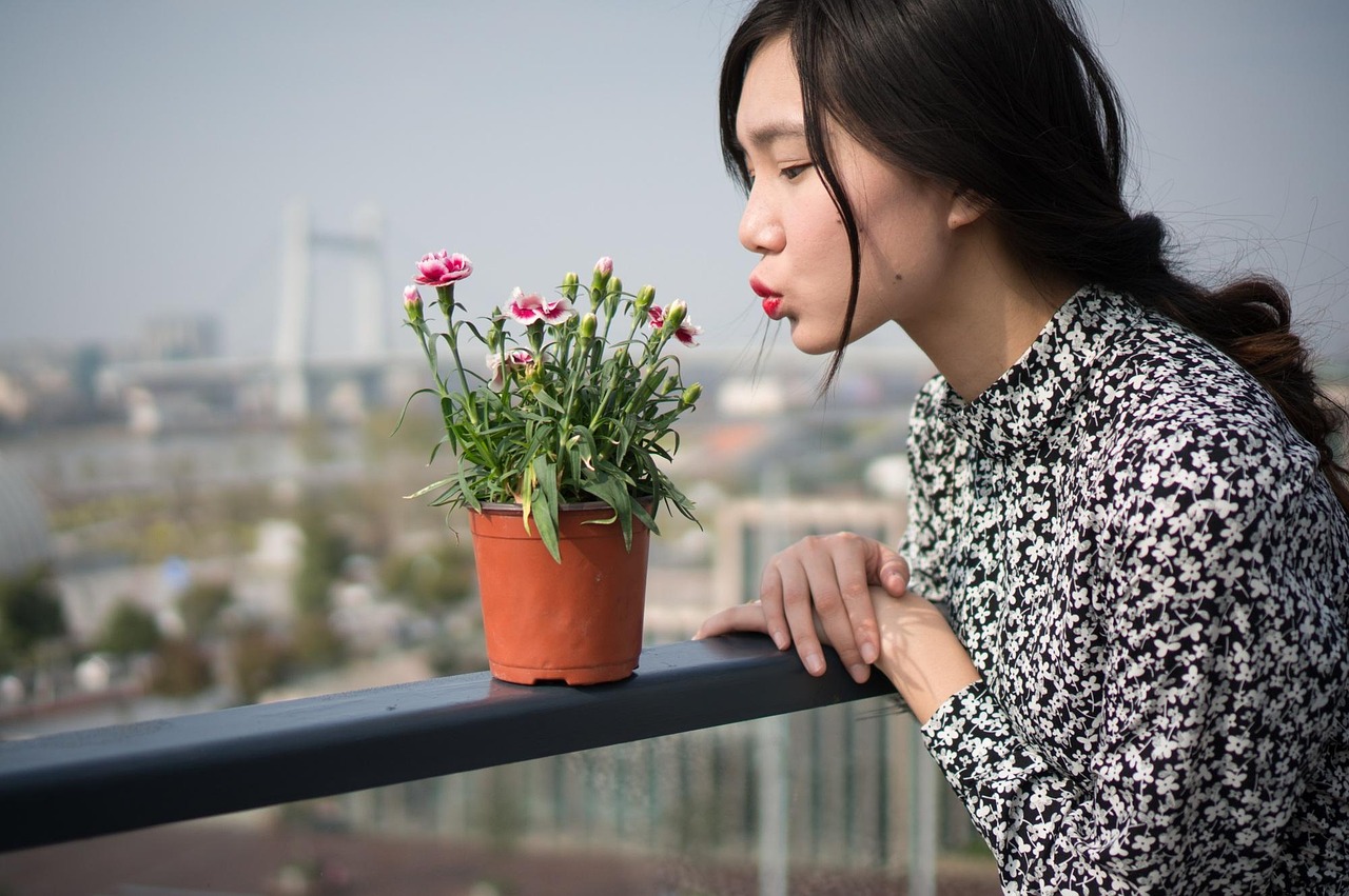五月璀璨之星，當(dāng)代知名女明星的魅力與影響力