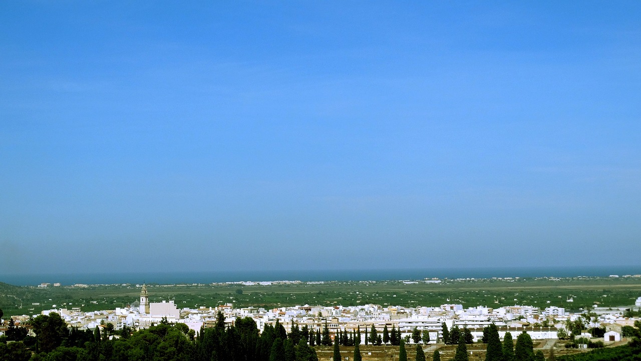 揭秘2023年5月新會陳皮市場行情，最新動態(tài)與趨勢分析