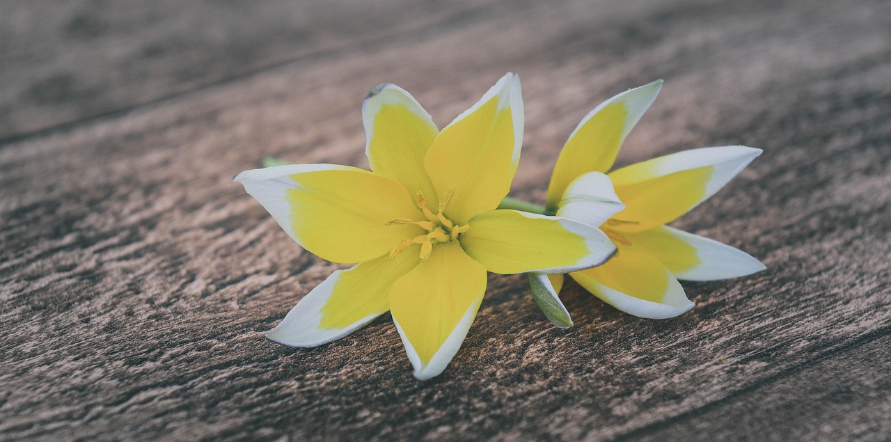 五月最新解禁資訊概覽，最新解禁動(dòng)態(tài)一網(wǎng)打盡