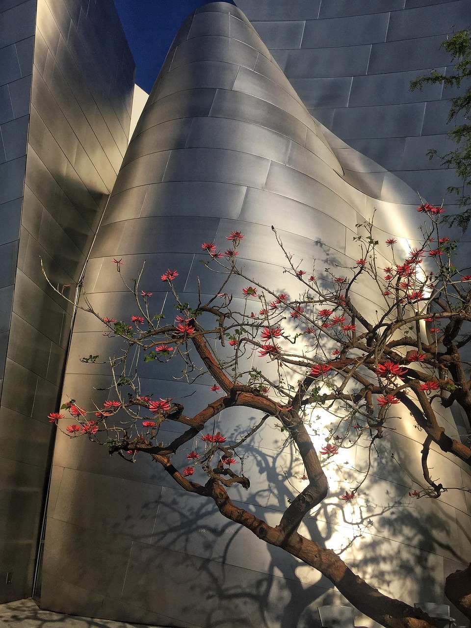 五月懷集房產(chǎn)項(xiàng)目概覽，最新動(dòng)態(tài)與未來(lái)展望