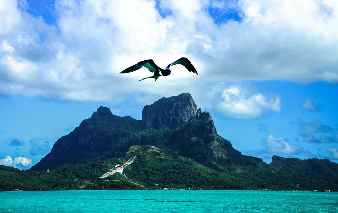 五月趕海之旅，探尋海洋寶藏的激情之旅。